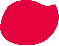 Fondo Aloha Kola